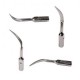 3Pcs Baola® Puntas Dentales Para Ultrasonido S4 Statelec