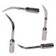 3Pcs Baola® Escalador Ultrasónico Puntas Dentales S6