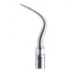 10Pcs Woodpecker® Perio Escalador Puntas P4D Compatible con EMS