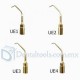 4pcs Woodpecker® CIRUGÍA PIEZO Dental Endodoncia Puntas Kit UE1 UE2 UE3 UE4 Para EMS