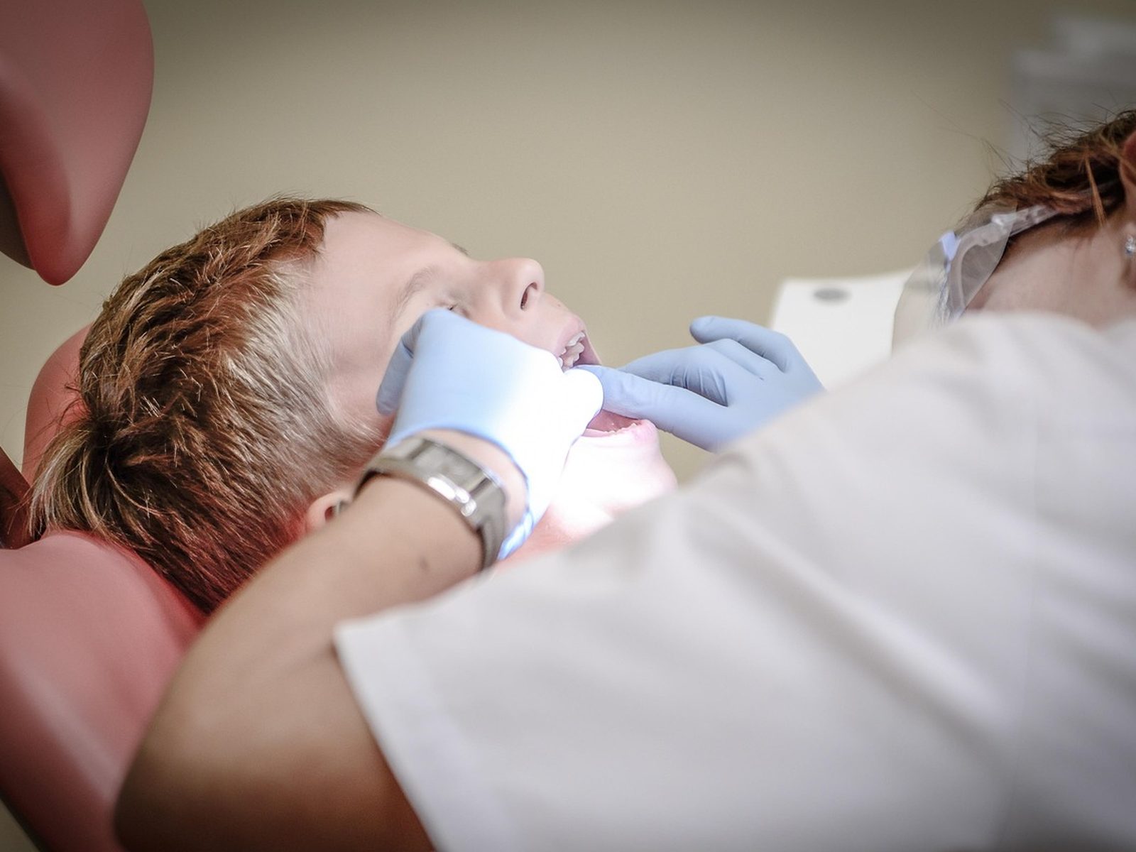 Escaladores ultrasónicos Woodpecker